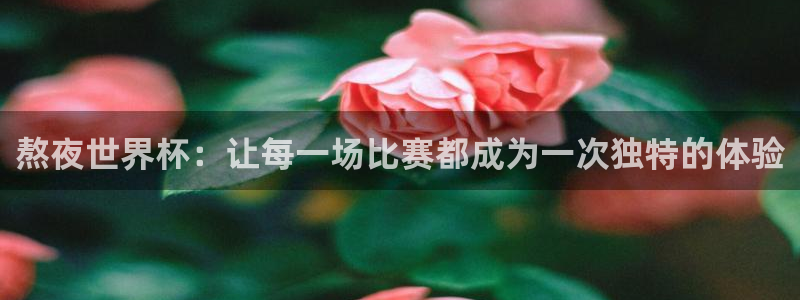 2026世预赛赛程:熬夜世界杯:让每一场比赛都成为一次独特的体验