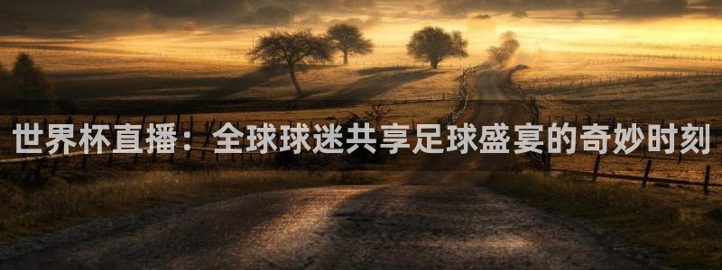 世界杯亚洲区预选赛赛程:世界杯直播:全球球迷共享足球盛宴的奇妙时刻