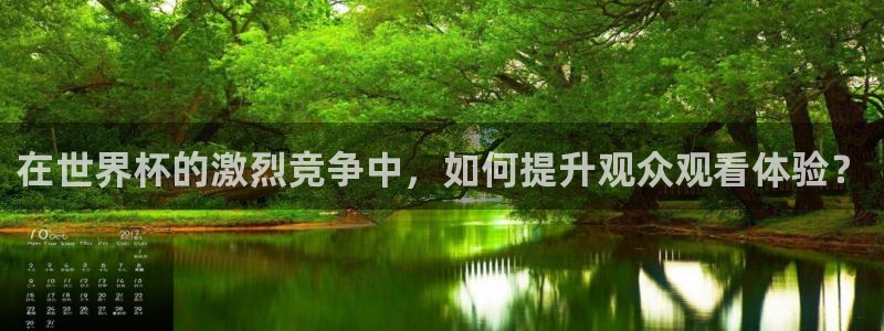 世界杯官网:在世界杯的激烈竞争中,如何提升观众观看体验?