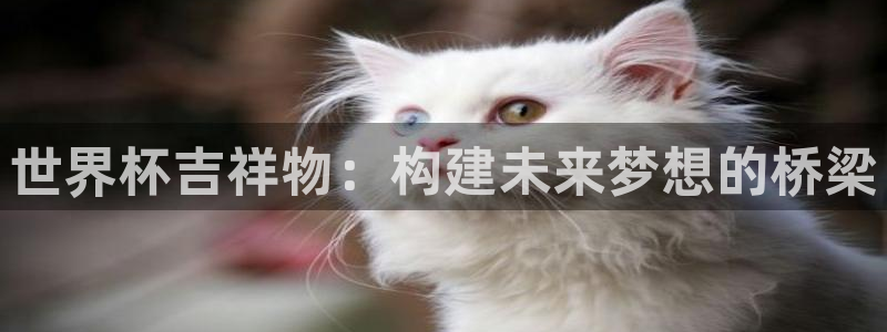 世界杯2026赛程:世界杯吉祥物:构建未来梦想的桥梁