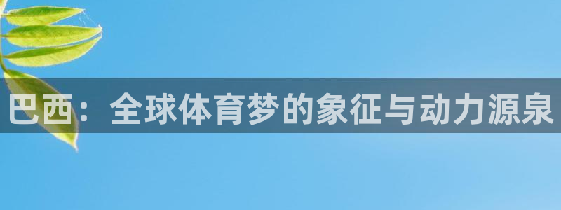 足球世预赛:巴西:全球体育梦的象征与动力源泉