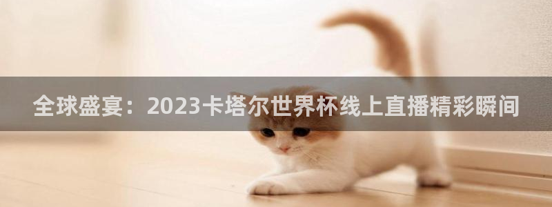 2026世界杯亚洲区预选赛:全球盛宴:2023卡塔尔世界杯线上直播精彩瞬间
