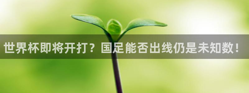世界杯官网入口:世界杯即将开打?国足能否出线仍是未知数!