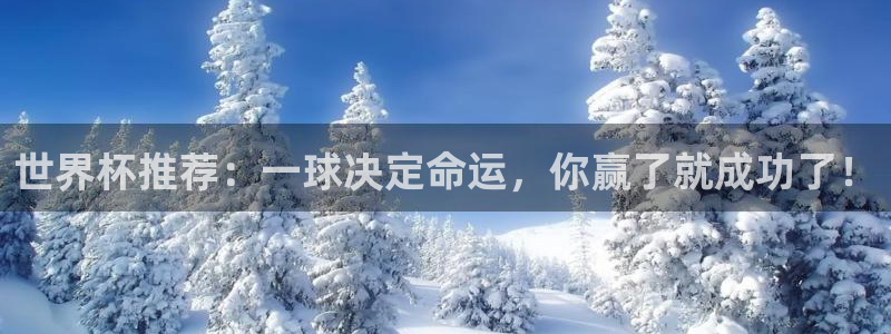 2026世界杯亚洲区预选赛:世界杯推荐:一球决定命运,你赢了就成功了!